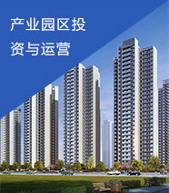 產(chǎn)業(yè)園區(qū)投資與運(yùn)營
